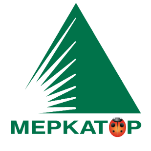 Меркатор холдинг