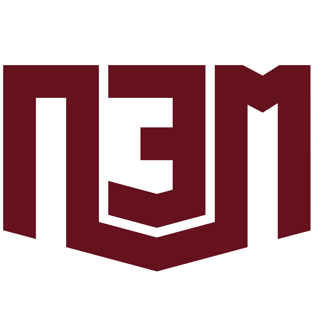 ПЭМ