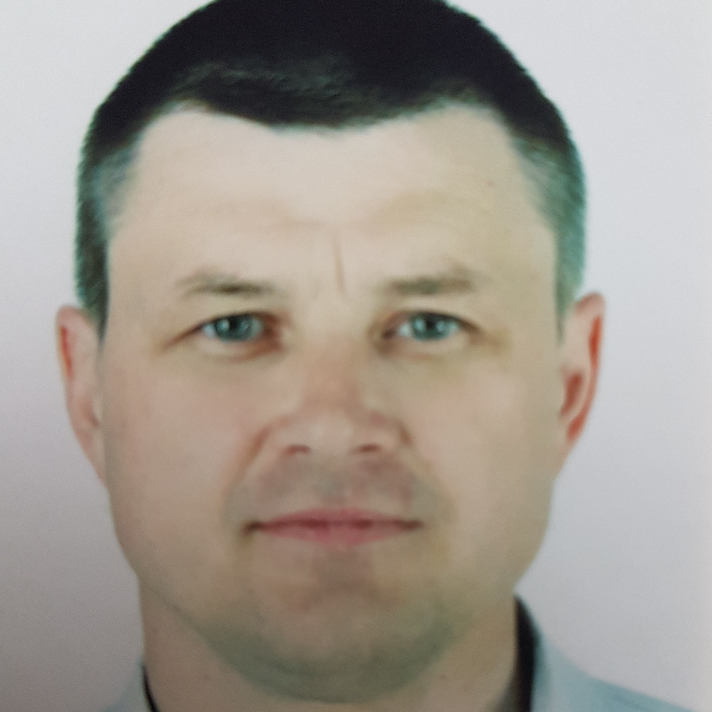 Сергей Сорокин, ТерраЛинк