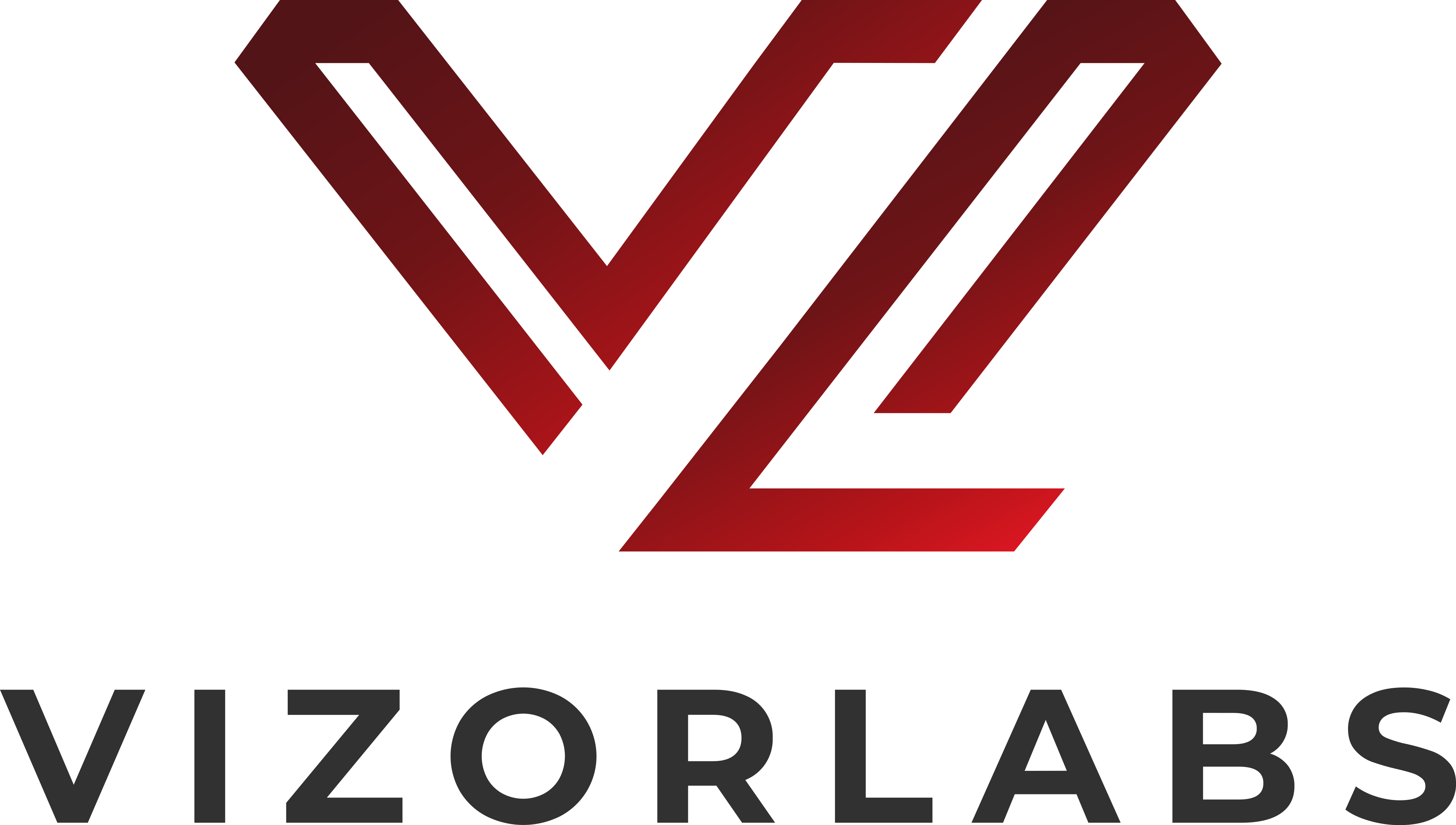 VizorLabs_logo
