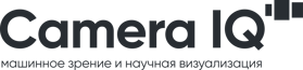 logo_rus_eng_d_dark-gray_rgb
